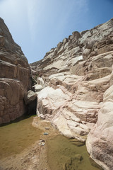 Rocky mountain canyon in a desert