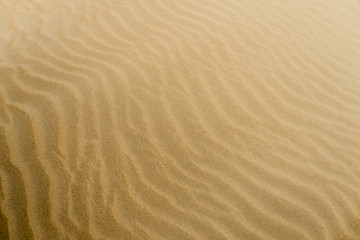 Soft sand textured background. Yellow color.