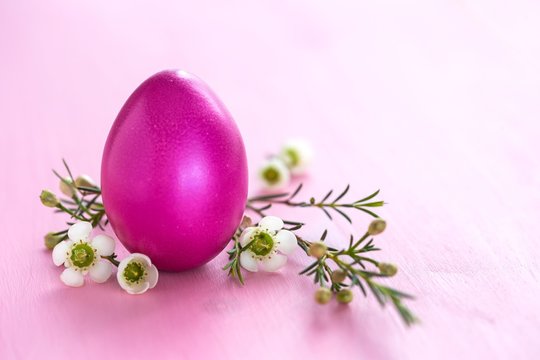 Magenta Easter egg