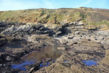 Fototapeta na wymiar coast of Torquay
