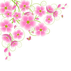 Fototapeta premium kirschblüten2