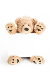 Happy teddy bear holding blank board
