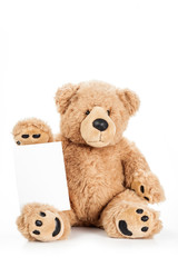 Cute teddy bear holding blank board