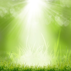 green nature background at summer