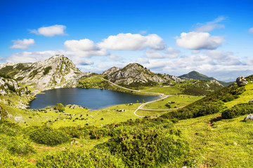 Lake Enol, the famous lakes of Covadonga, Asturias,Spain © mrks_v
