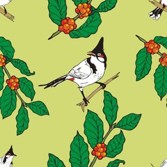 Red-whiskered bulbul bird and coffee limb wallpaper Seamless