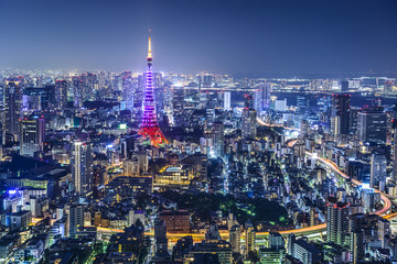 Fototapeta premium Tokyo Japan City Skyline