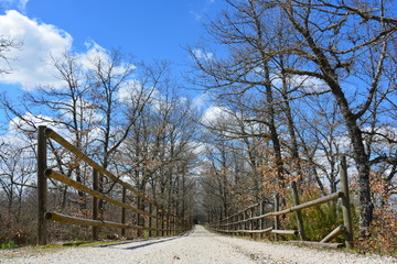 Camino a traves del bosque, Burgos, España