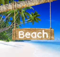 Paradise Beach Display with Wood Board