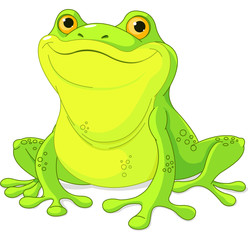 Fototapeta premium Frog