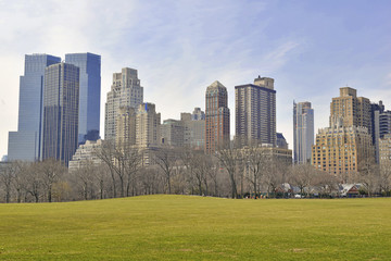 Central Park and Manhattan Skyline, New York