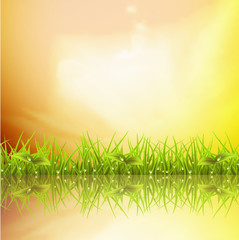 Fototapeta premium Landscape