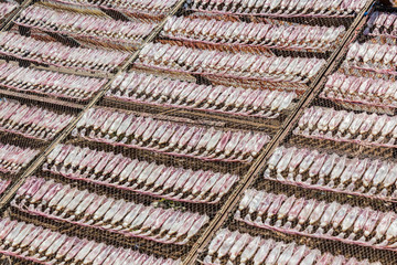 Dried Squid in Thailand.