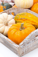 various pumpkins in a wooden tray, close-up