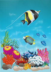 Fototapeta na wymiar marine life with colorful fish