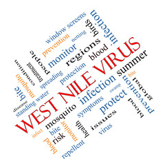 West Nile Virus Word Cloud Concept Angled