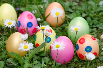 bunte Ostereier mit Gänseblümchen