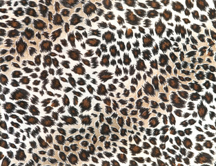 leopard tiger skin texture background