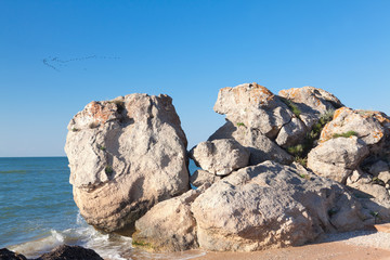 a flock of birds flying over the sea