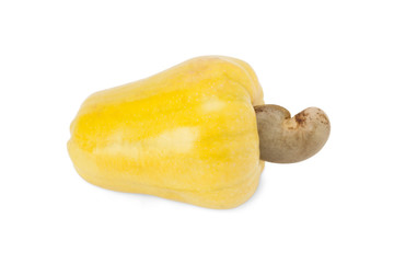Brazilian Caju Cashew Fruit