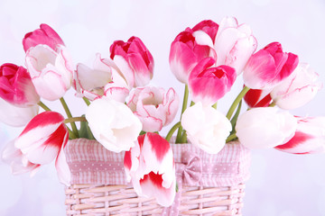 Beautiful tulips in wicker basket, on light background