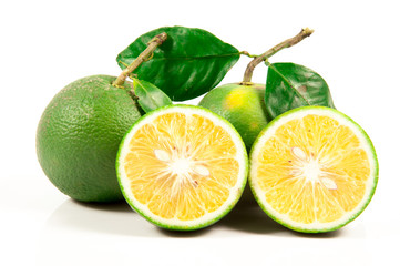 Gokuwase unshu, earliest of Japanese satsuma tangerines with ora