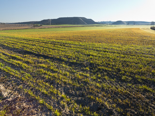 La Hondonada en Pinto