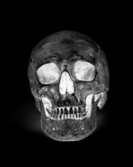 Front view of human skull isolated on white background