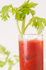 Bloody Mary Cocktail
