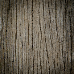 wooden line texture