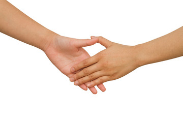 Business handshake between business people