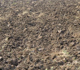Farm of agricultural site, field in Thailand