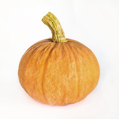 Fresh orange pumpkin isolated on white background