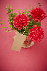 Carnations