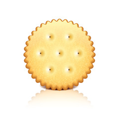 Cracker cookie vector illustration