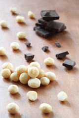Macadamia Nuts and Chocolate Pieces