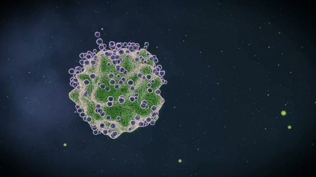 Animation Virus