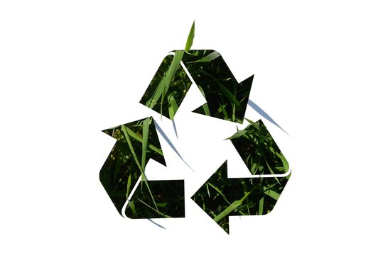 recycle symbol on grass