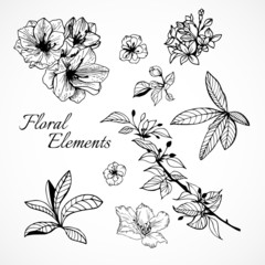 Set of floral elements