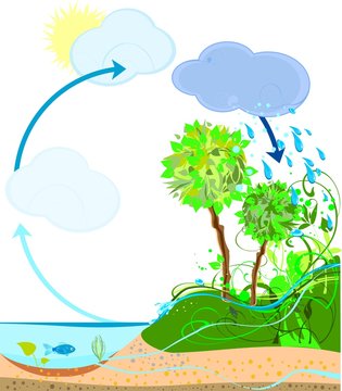 Water cycle in nature