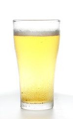 Glass of Beer  White background