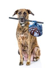 dog with a stick and a bag. isolated on white background