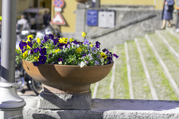 Floral decoration on a city street color image