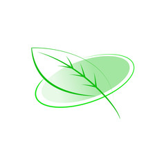 leaf design element 