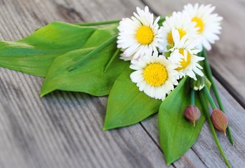 bärlauch und gänseblumen
