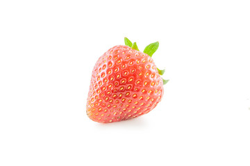 Fresh Isolated Strawberry