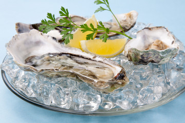 Fresh Oysters on Ice