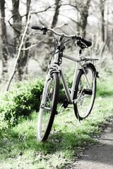 Fototapeta na wymiar Old bicycles in the park