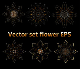 Vector set flower EPS