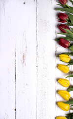 Naklejka na ściany i meble Tulips on white wooden planks eves